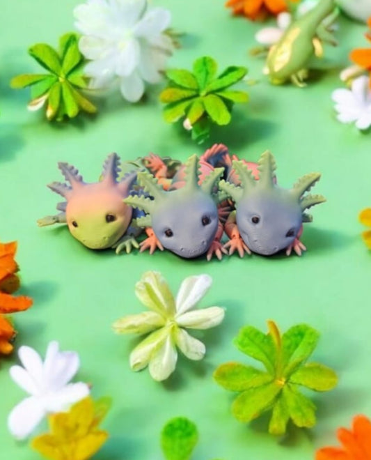 Axolotls 🌈