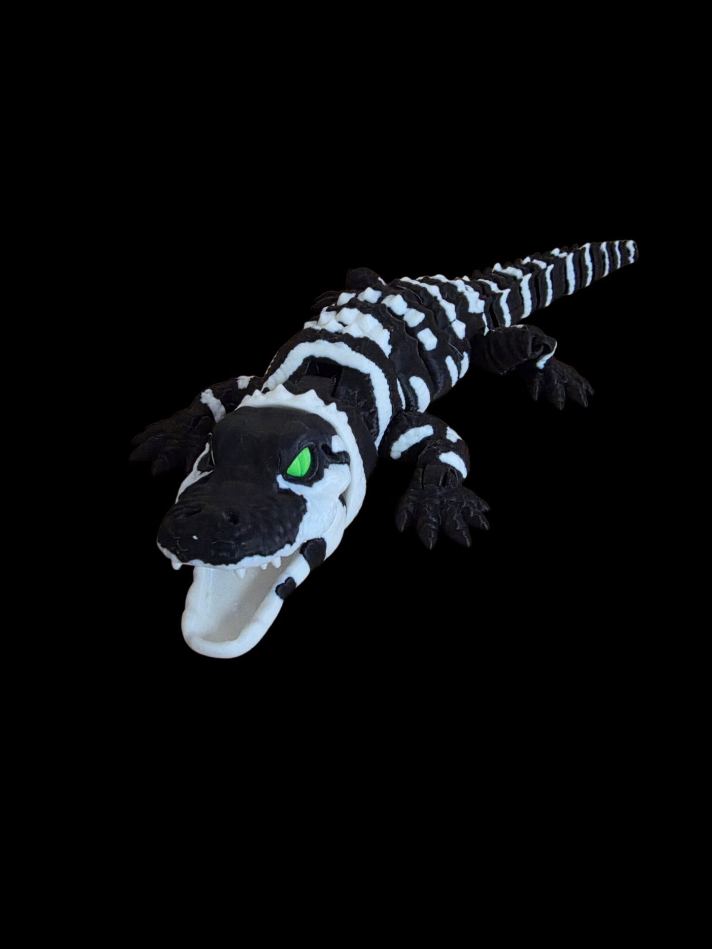 Baby Aligator