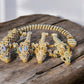Cookie Dragon Series